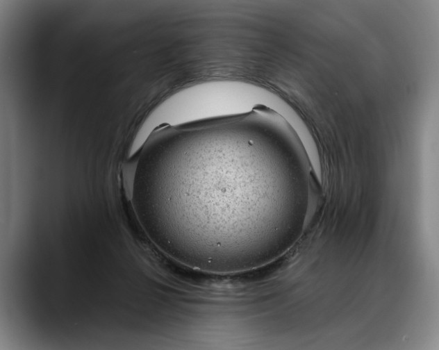X0000088670264200706141341