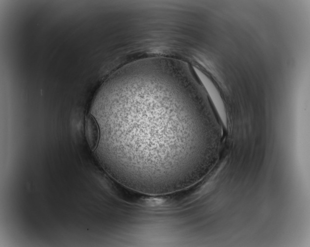X0000088670265200706141341