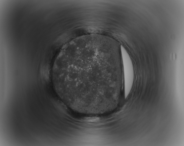 X0000088670266200706141341
