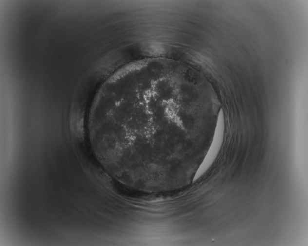 X0000088670267200706141341