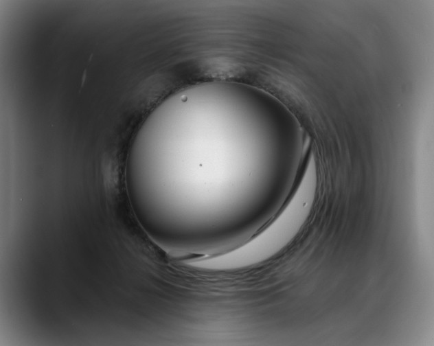 X0000088670268200706141341