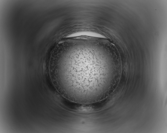 X0000088670270200706141341