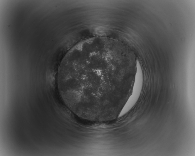 X0000088670271200706141341