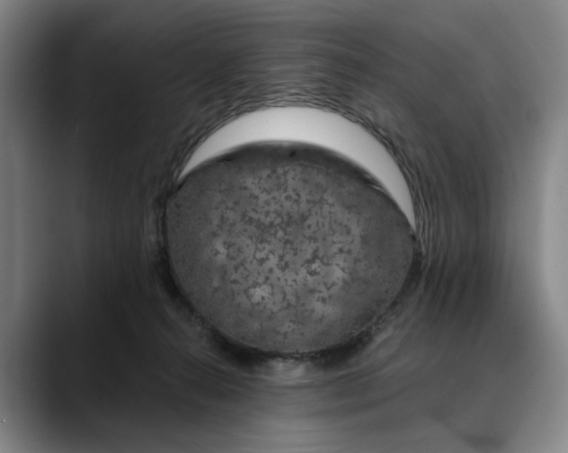 X0000088670272200706141341