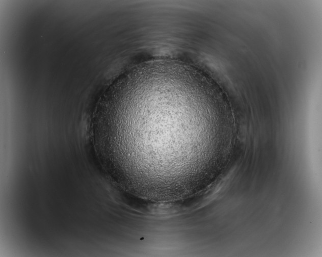 X0000088670273200706141341