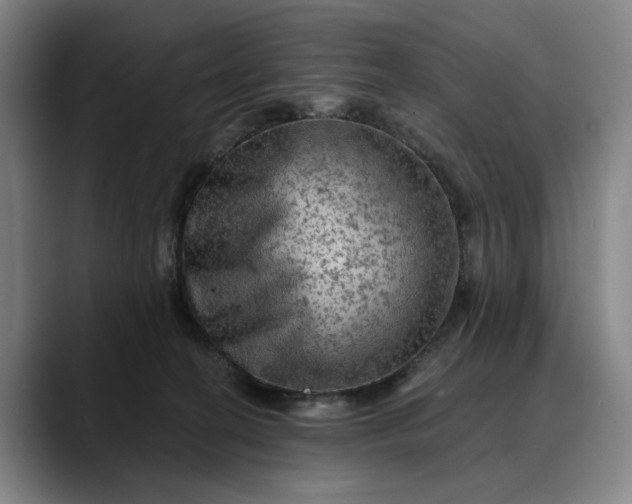 X0000088670274200706141341