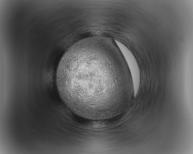 X0000088670275200706141341