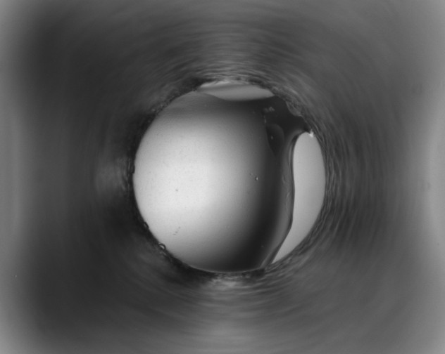 X0000088670280200706141341