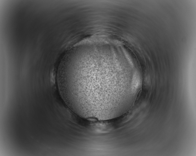 X0000088670282200706141341