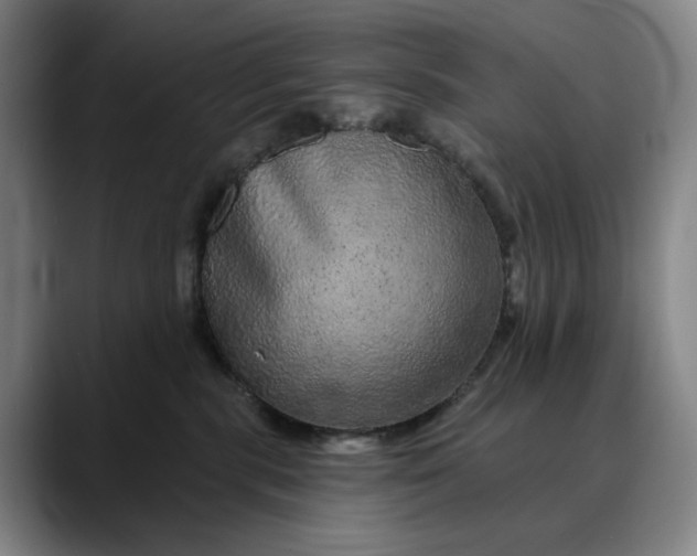 X0000088670283200706141342