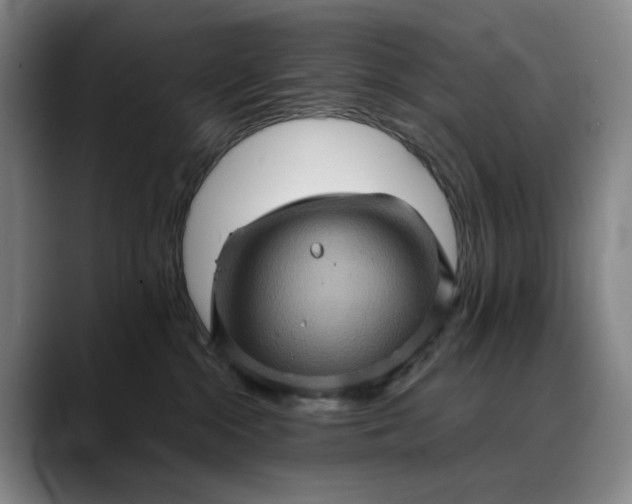 X0000088670284200706141342