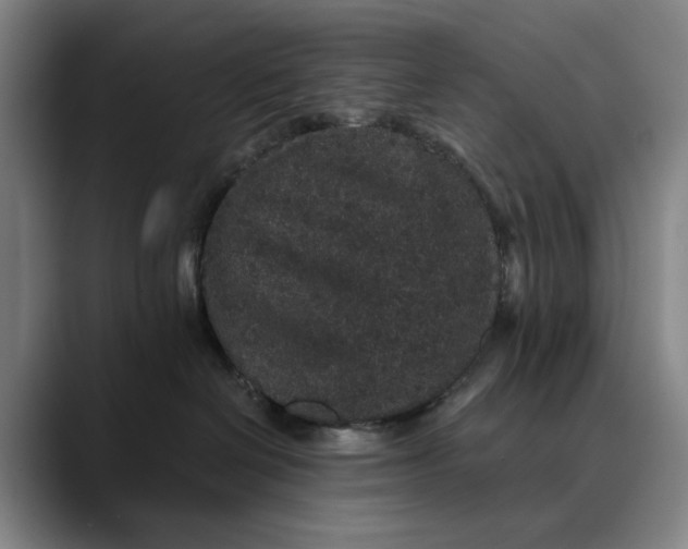 X0000088670286200706141342