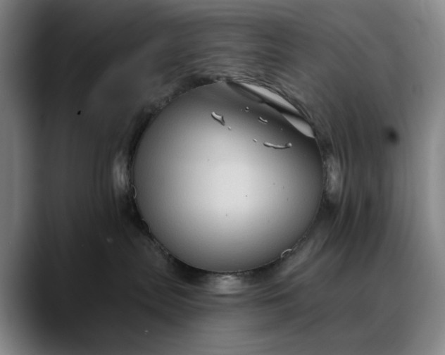 X0000088670287200706141342