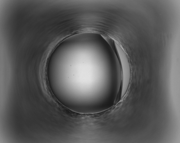 X0000088670289200706141341