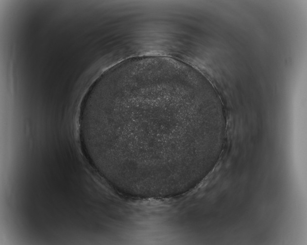 X0000088670290200706141341
