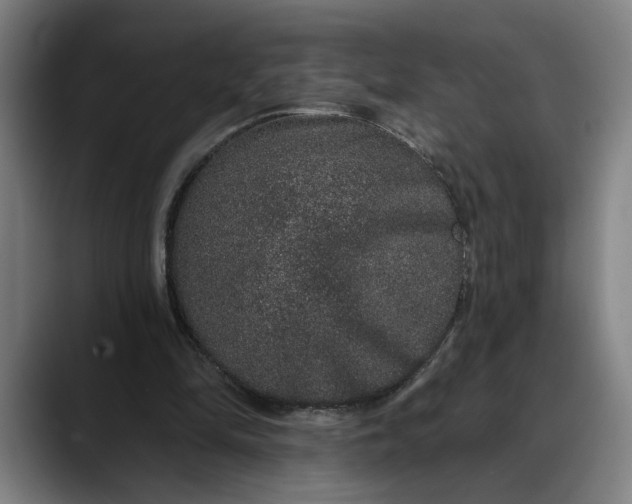 X0000088670294200706141341
