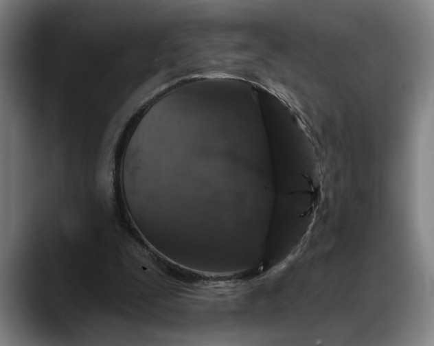 X0000088670295200706141341