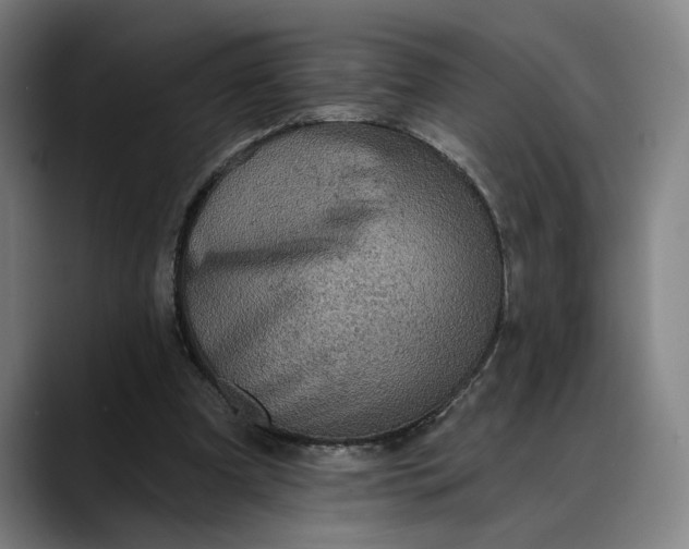 X0000088670297200706141341