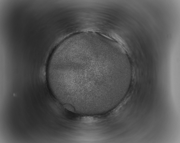 X0000088670298200706141341