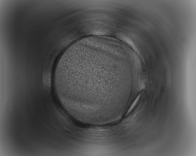 X0000088670299200706141341