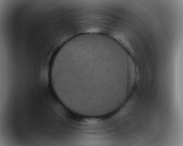 X0000088670300200706141341