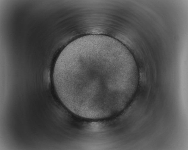 X0000088670302200706141341