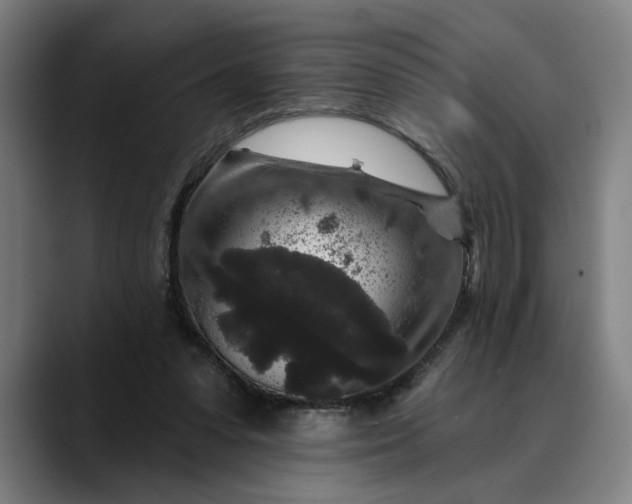 X0000088670303200706141341