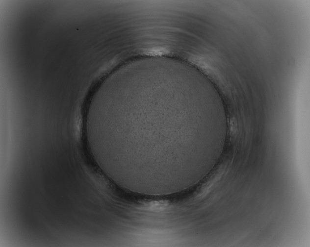 X0000088670304200706141341