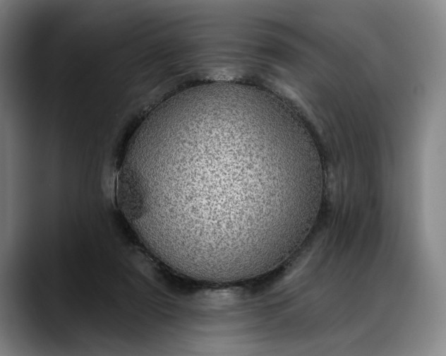 X0000088670307200706141341