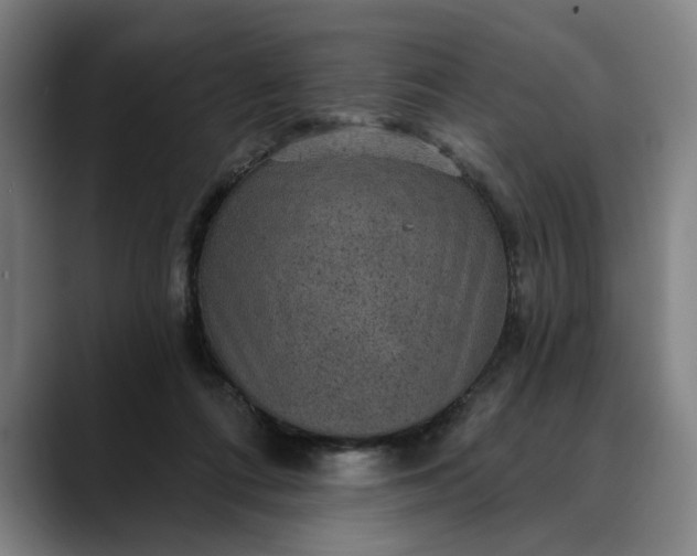 X0000088670312200706141341