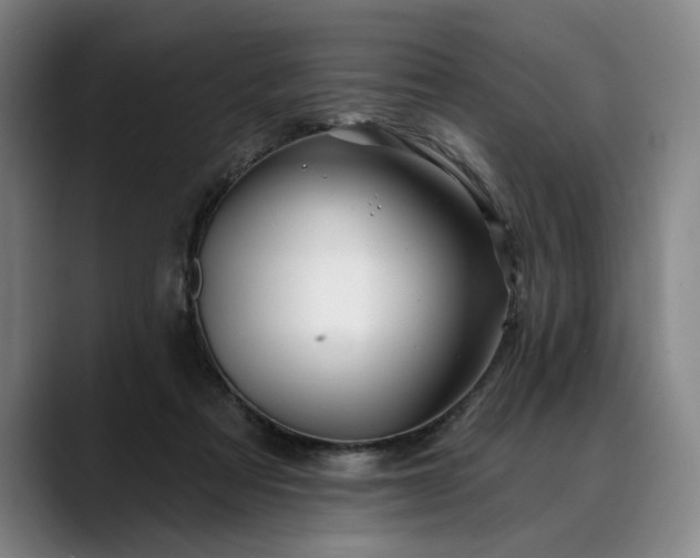 X0000088670313200706141341