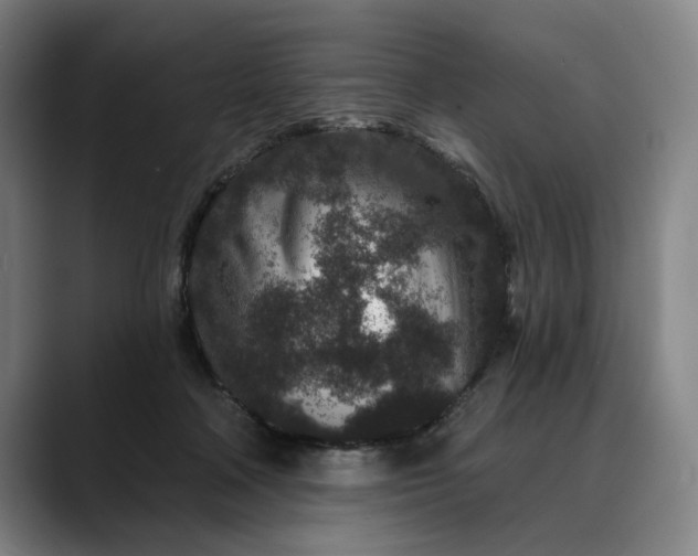 X0000088670314200706141341
