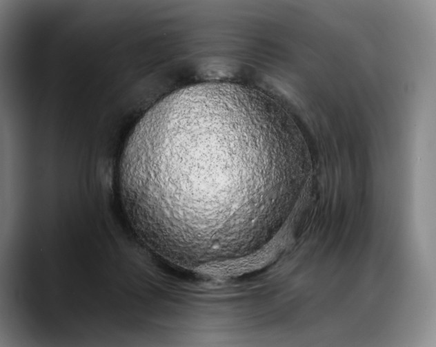 X0000088670315200706141341