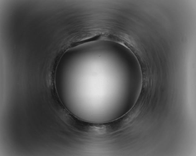X0000088670317200706141341