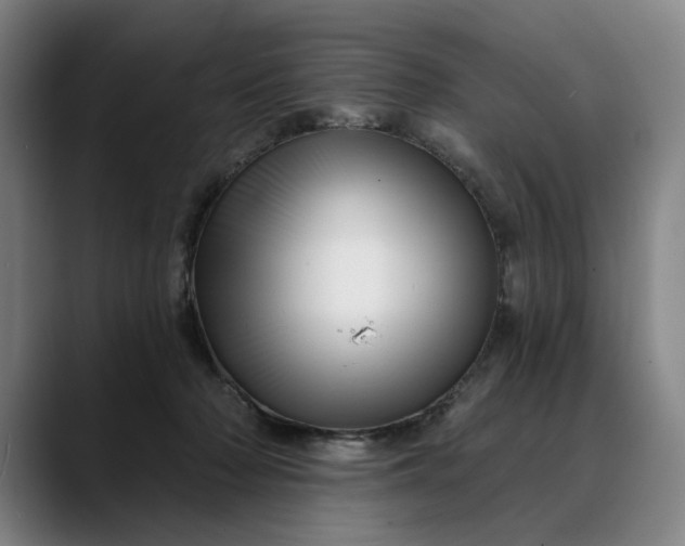 X0000088670318200706141340