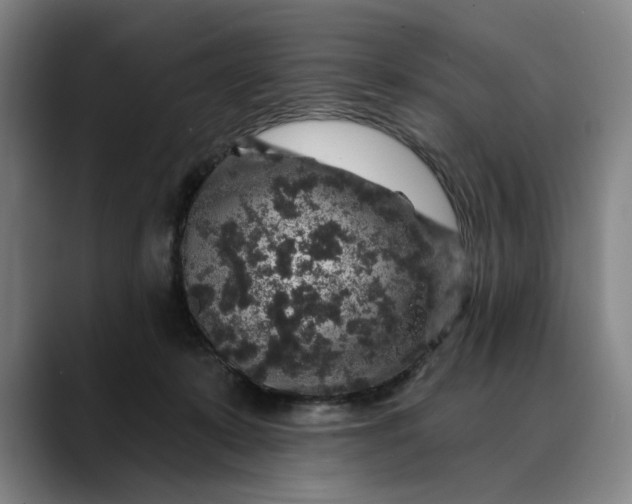 X0000088670319200706141340