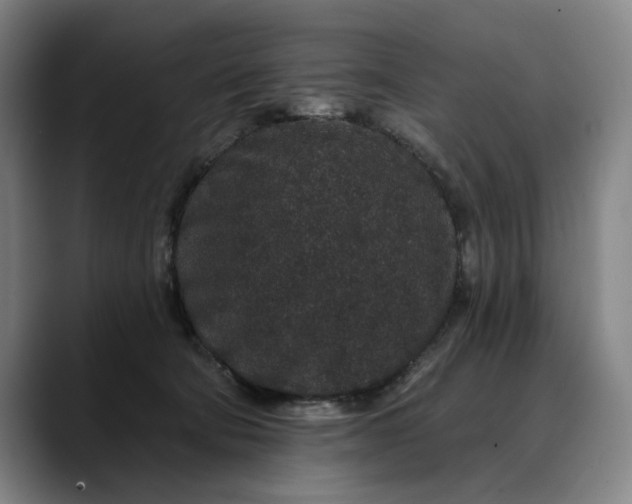 X0000088670322200706141340