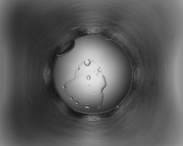 X0000088670327200706141340