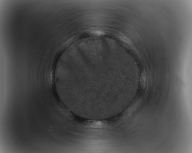 X0000088670330200706141340