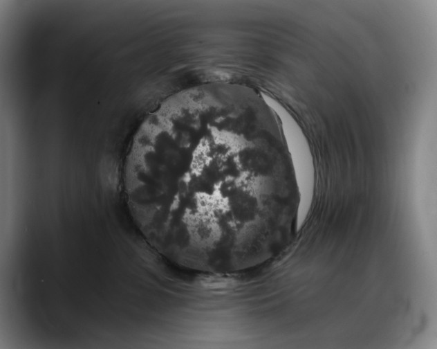X0000088670331200706141340
