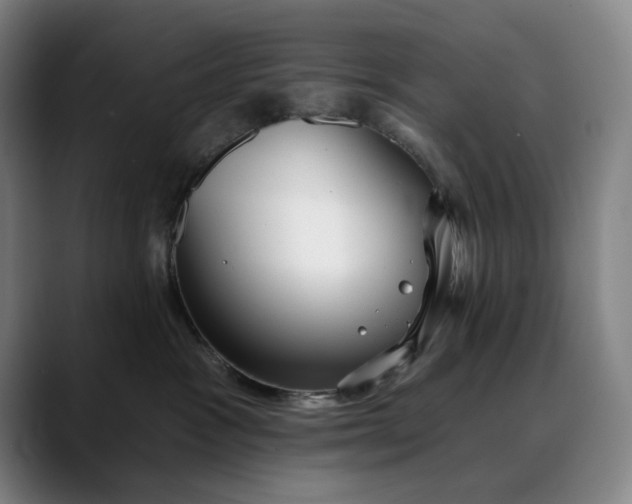 X0000088670333200706141340