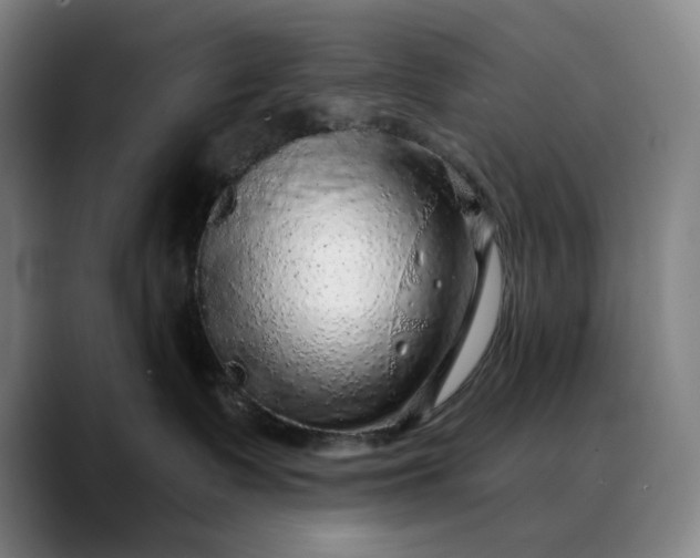 X0000088670335200706141340