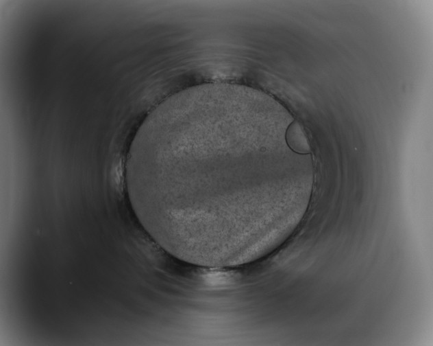 X0000088670336200706141340