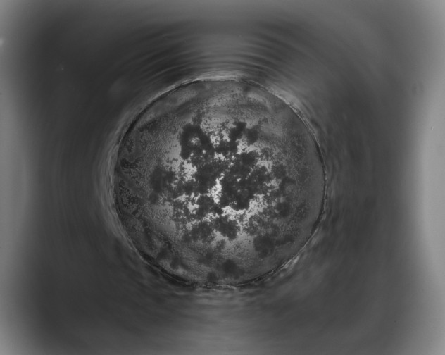 X0000088670337200706141340
