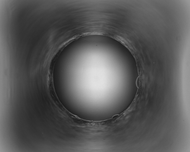 X0000088670338200706141340