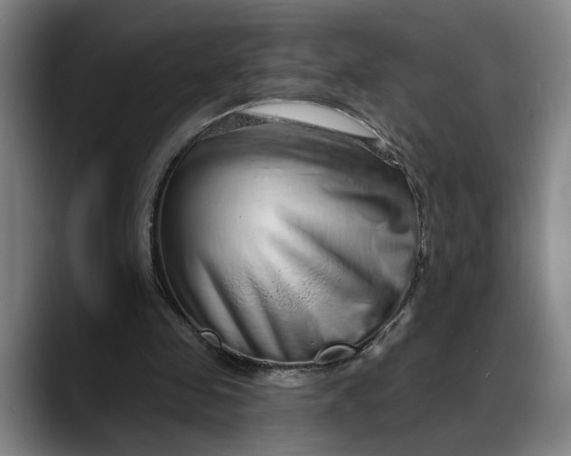 X0000088670341200706141340