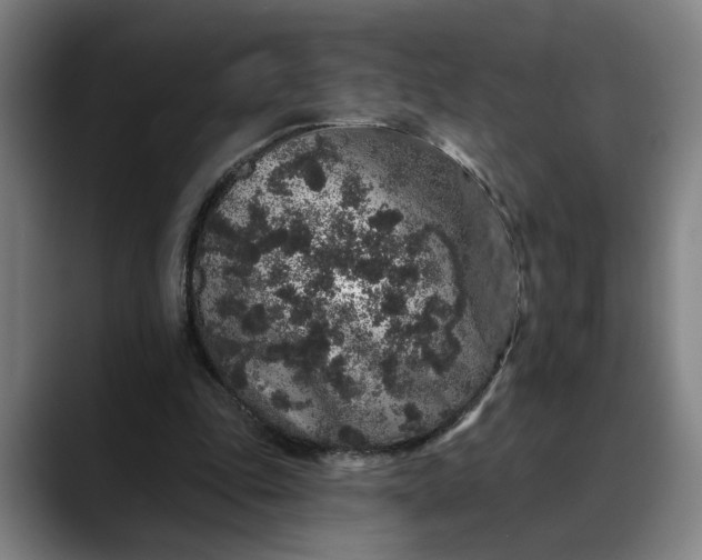 X0000088670343200706141340