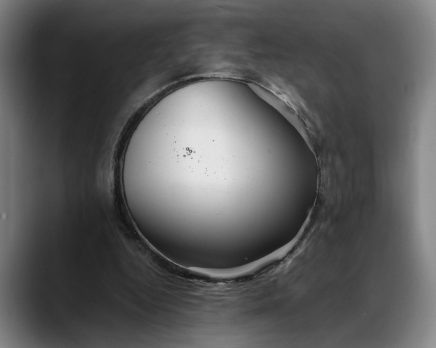 X0000088670344200706141340