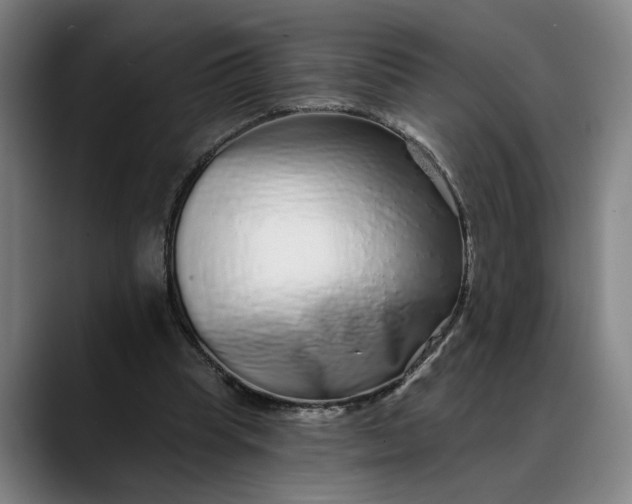 X0000088670345200706141340
