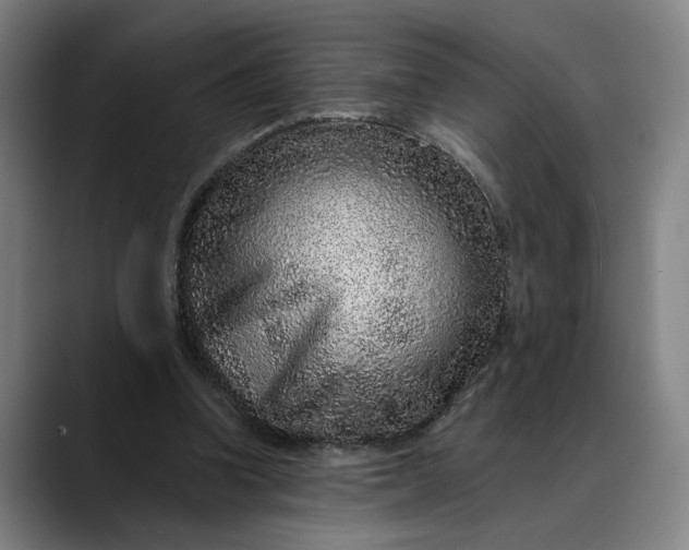 X0000088670346200706141340